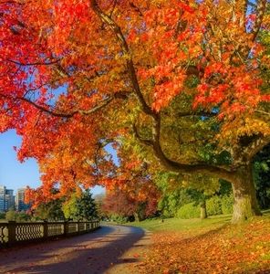 Meet your Posher, Mona